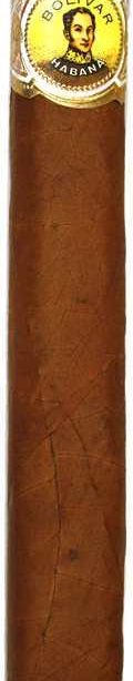 Bolivar Coronas Gigantes 9 The Best Cuban Cigars
