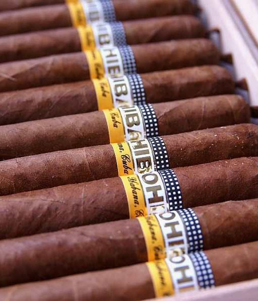 Cohiba Lanceros 25 9 The Best Cuban Cigars