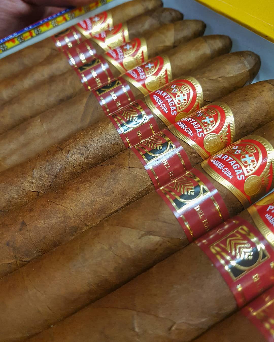 Partagas Salomones "La Casa del Habano" - Image 2