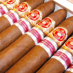 Punch Ser D` Oro no.1 5 The Best Cuban Cigars