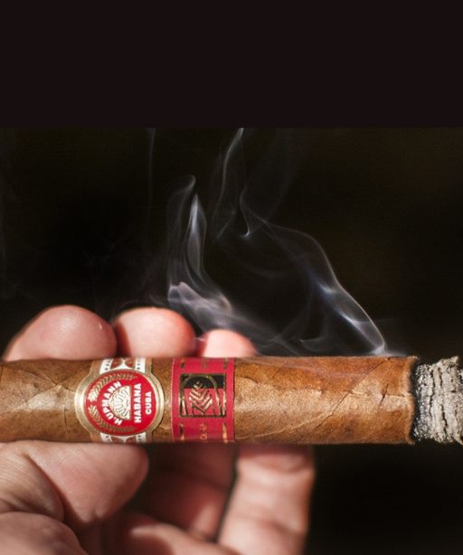 H Upmann Royal Robustos Casa del Habano 9 The Best Cuban Cigars