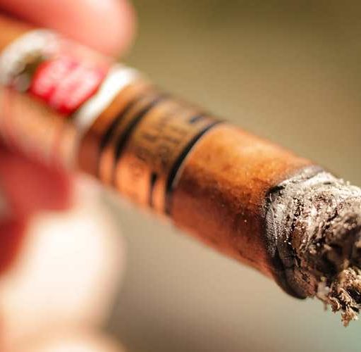 Hoyo de Monterrey Piramides Editcion Limitada 2011 10 The Best Cuban Cigars