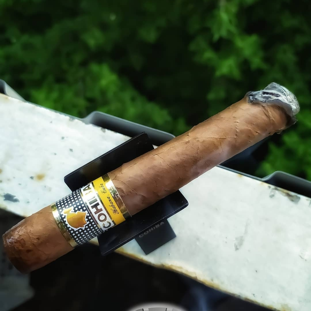 Cohiba Siglo VI - Image 10