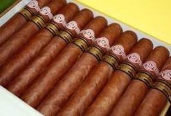 Montecristo Robustos Limited Edition 2006 - 2000 VINTAGE 8 The Best Cuban Cigars