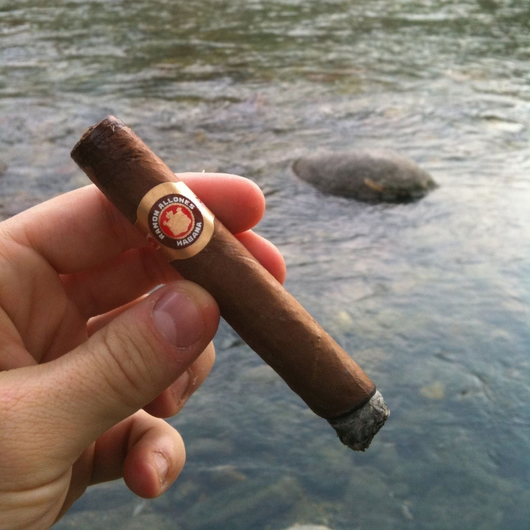 Ramon Allones Coronas - Image 3