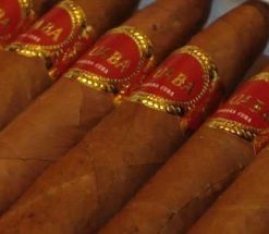 Cuaba Generosos 12 The Best Cuban Cigars