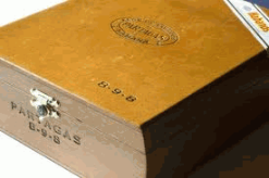 Partagas Salomon 6 The Best Cuban Cigars