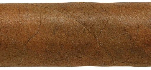 Bolivar Coronas Gigantes 7 The Best Cuban Cigars