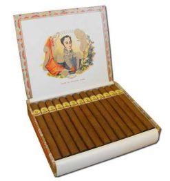 Bolivar Coronas Gigantes 7 The Best Cuban Cigars