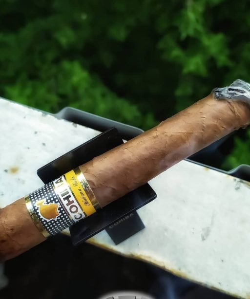 Cohiba Siglo VI 19 The Best Cuban Cigars