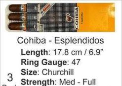 Cohiba Petacas Esplendidos 13 The Best Cuban Cigars