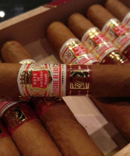 H Upmann Royal Robustos Casa del Habano 8 The Best Cuban Cigars