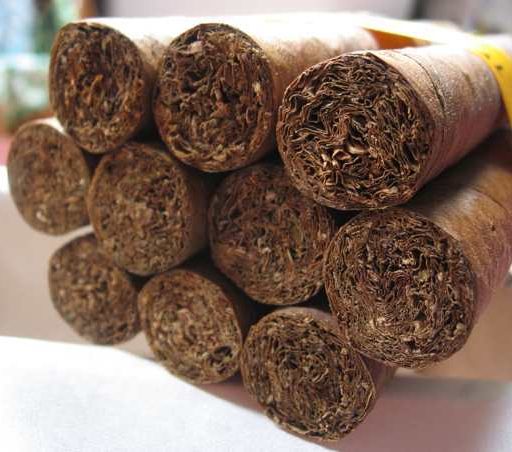 Hoyo de Monterrey Epicure Especial 8 The Best Cuban Cigars