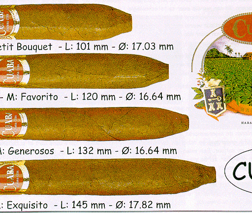 Cuaba Exclusivos 6 The Best Cuban Cigars