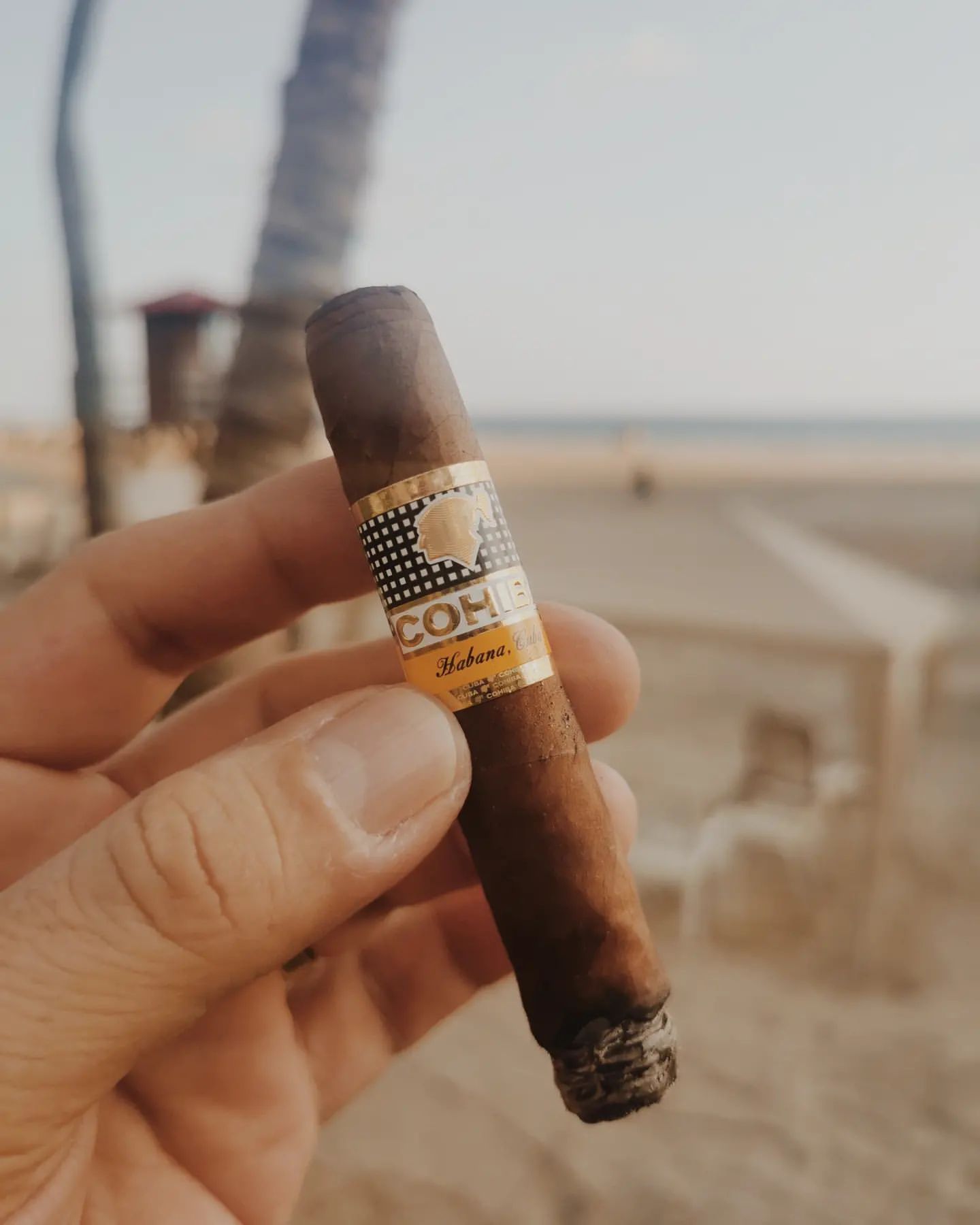 Cohiba Miniatures - Big Flavors, Tiny Sizes 1 The Best Cuban Cigars