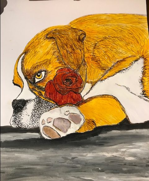 boxer dog in ink by Vanessa Hicks