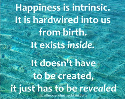 happiness is intrinsic