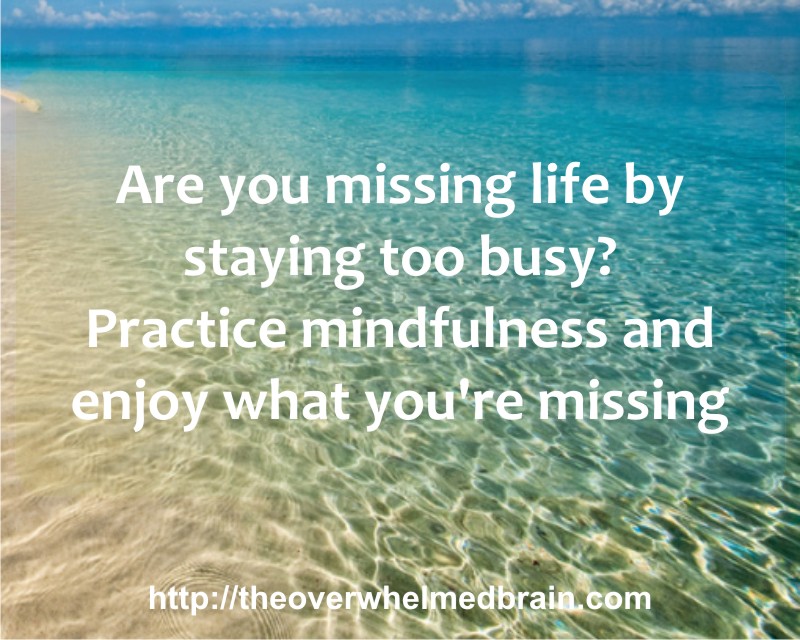 mindful present moment eckhart tolle