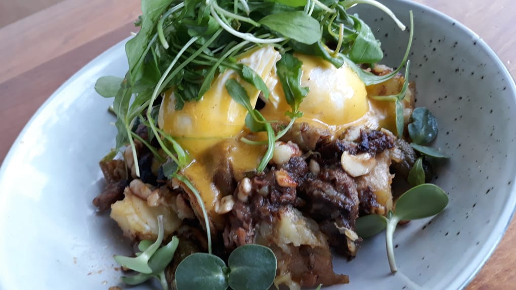 Beef Brisket Hash BBQ glazed brisket, slow roasted for 16 hours, with fried potato, baby pickles, toasted cashews and local free range poached eggs with our house hollandaise.