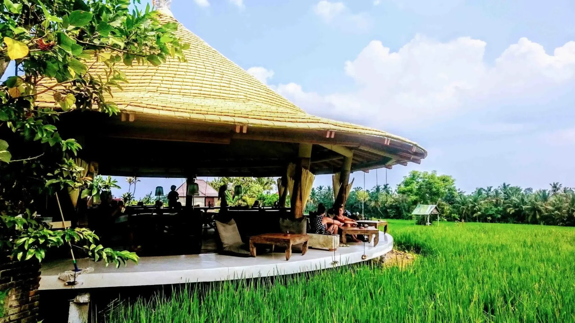 Restaurants with a View in Ubud: Best Scenic Spots 5 Cafe Pomegranate Ubud restaurant surrounded by lush rice fields, offering open-air dining and panoramic Bali countryside views