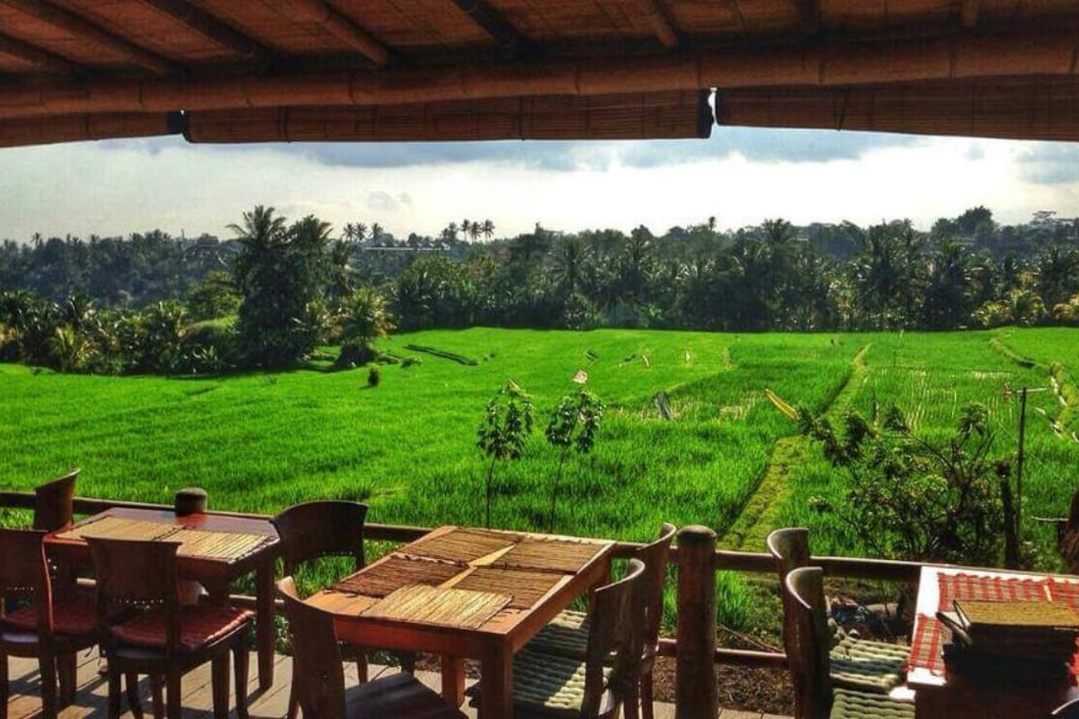 Best Restaurants in Ubud for Foodies 10 Warung Sari Organik in Ubud