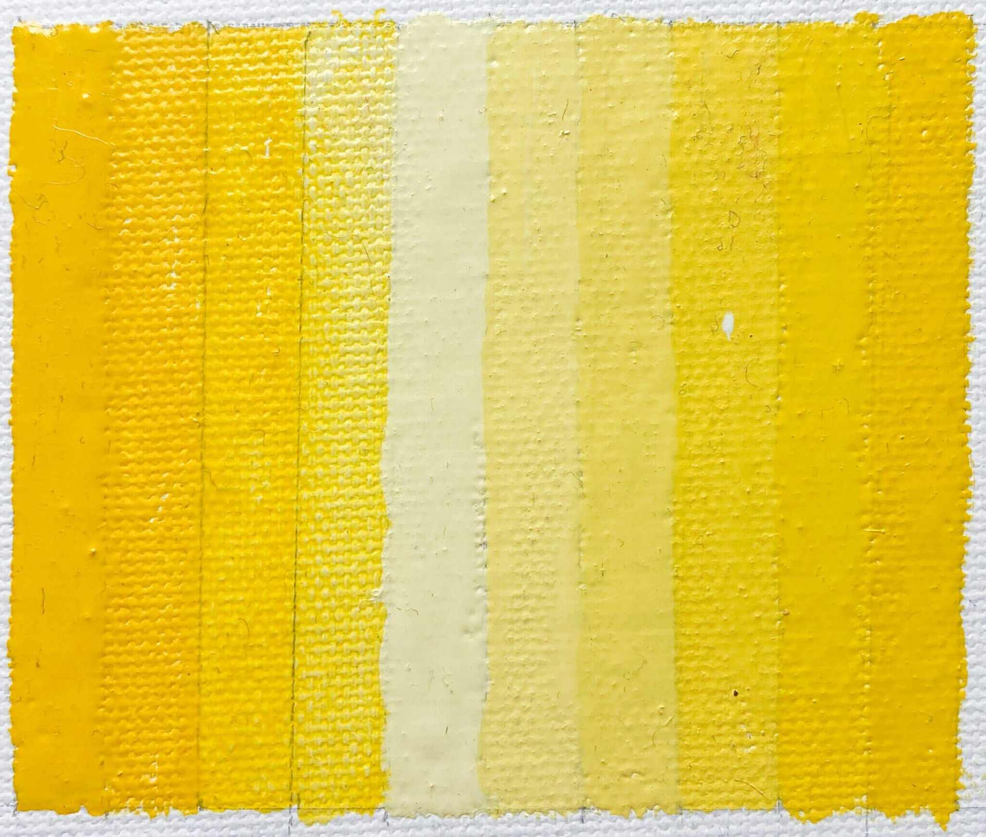 Amarillo Hansa Medio PY97 - Image 3