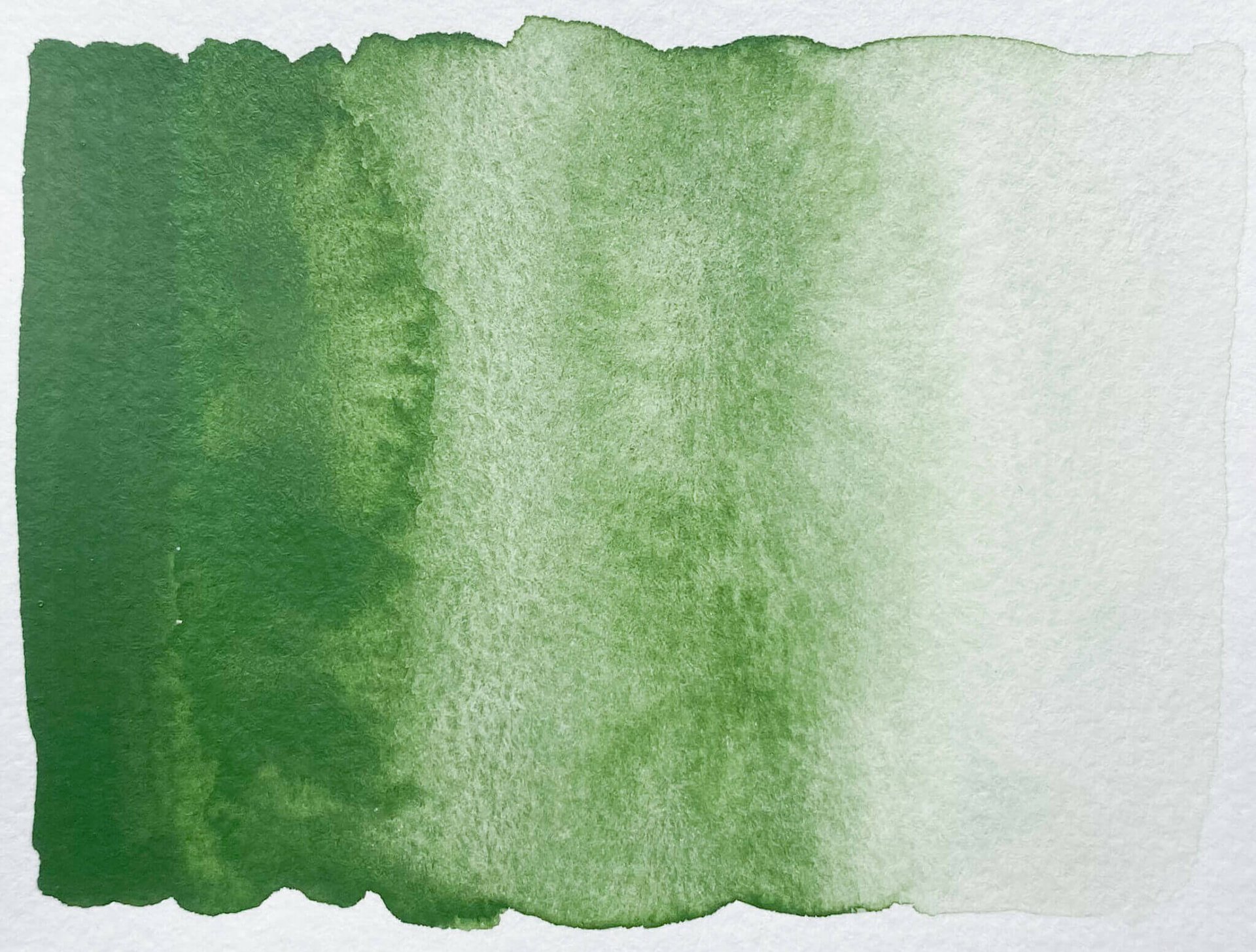 Verde Cromo PG17 - Image 3