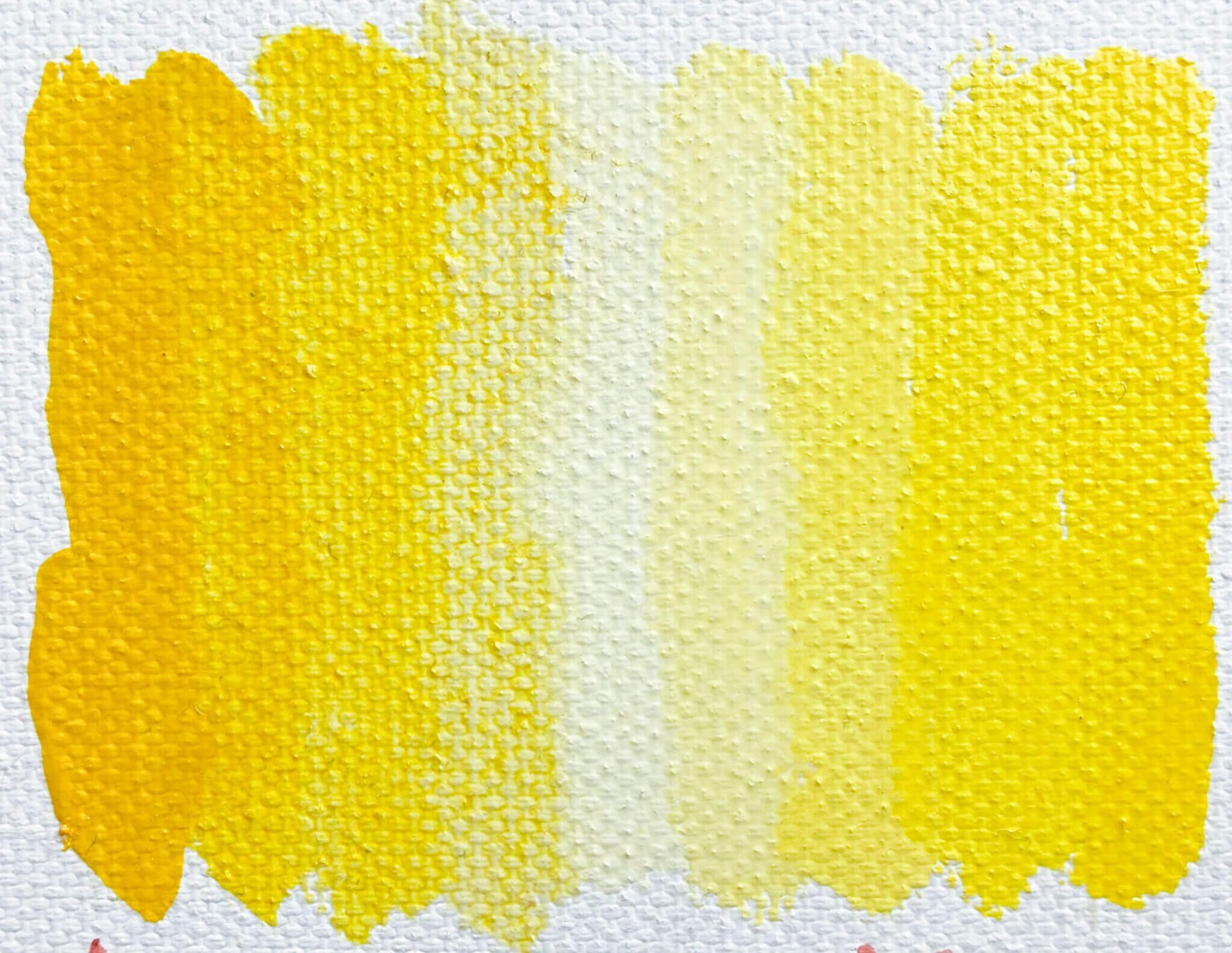 Amarillo Hansa Medio PY97 - Image 2
