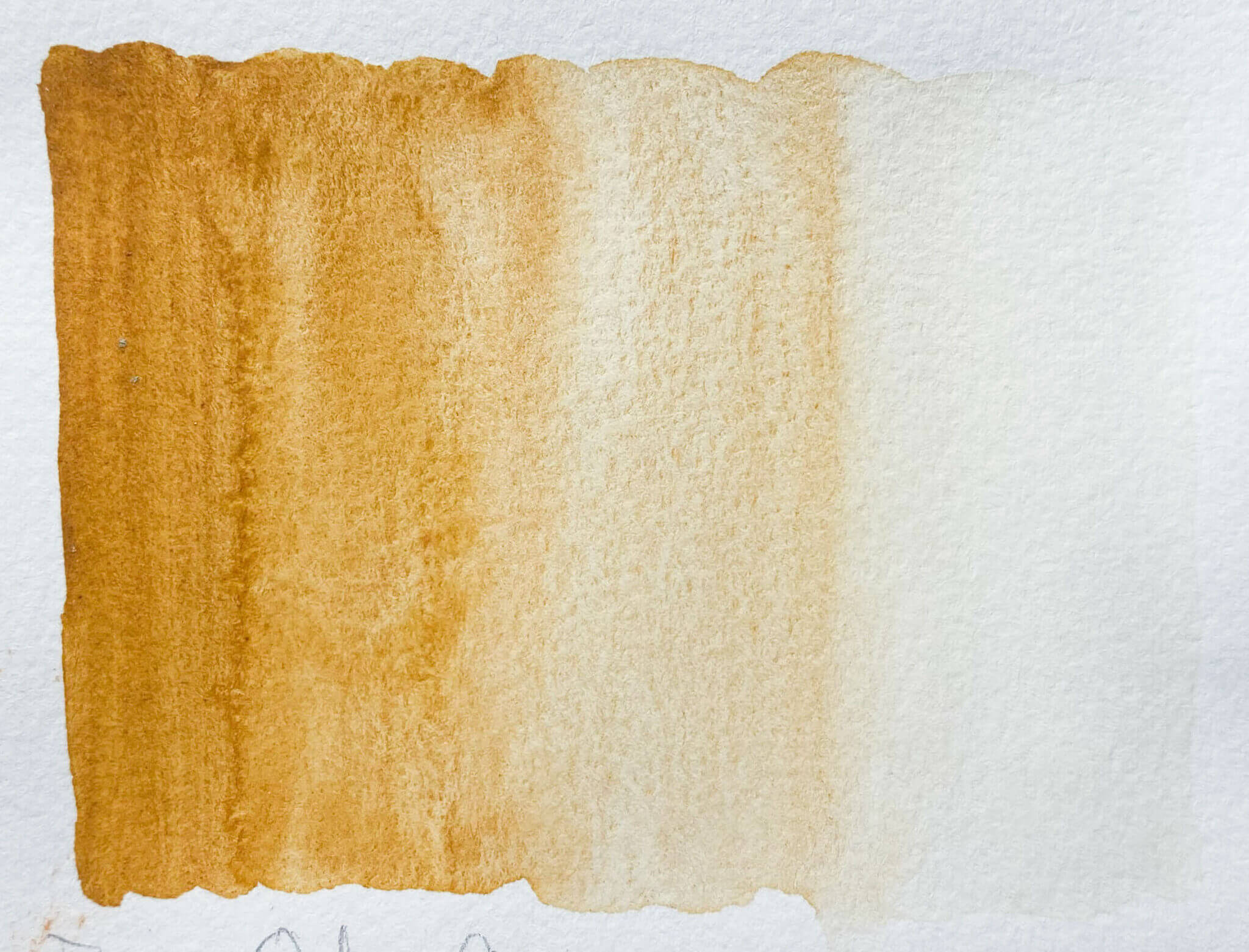 Fawn Ochre German Amarillento PY43 - Image 3