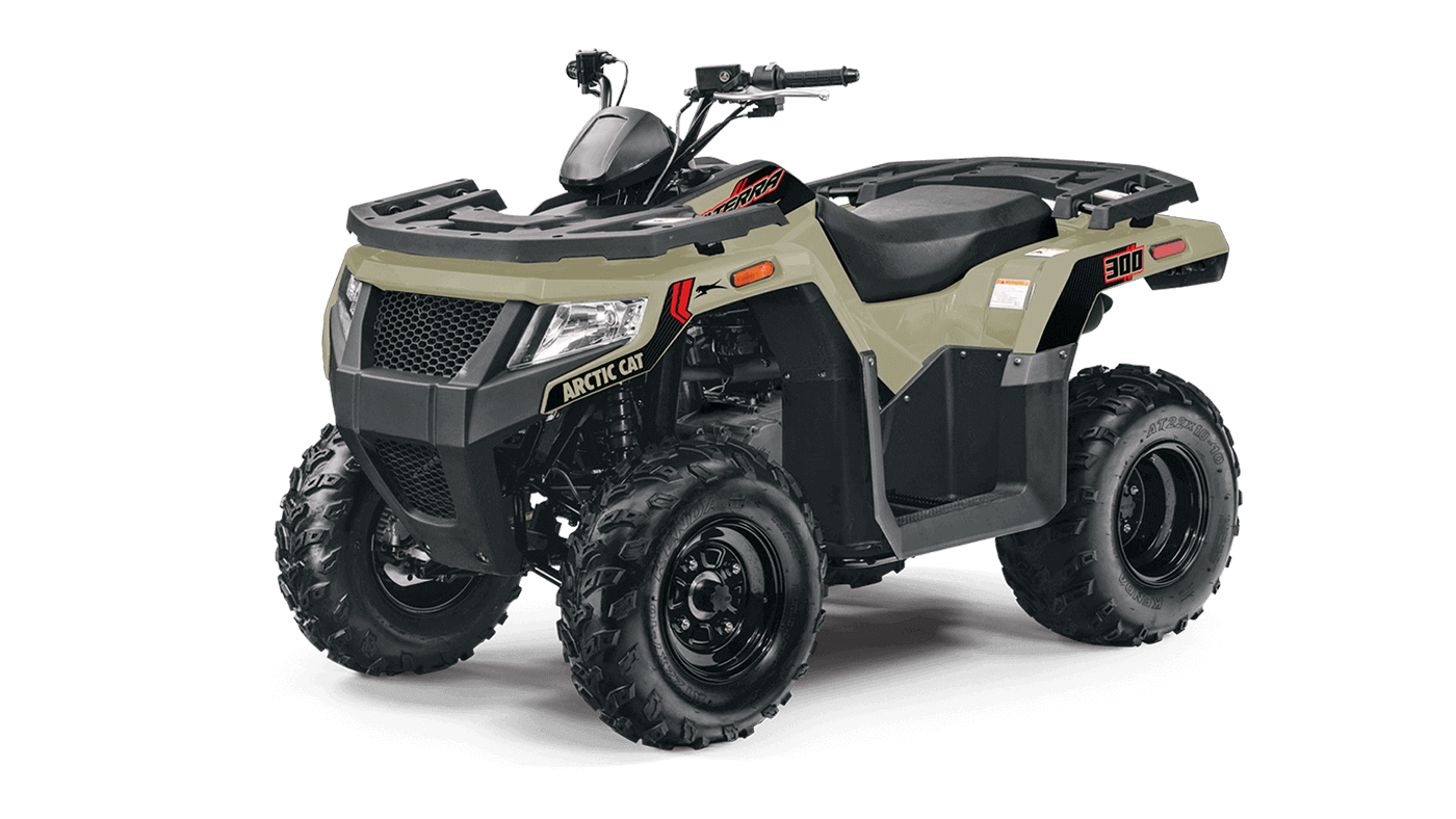 Arctic Cat Alterra 300 img-3