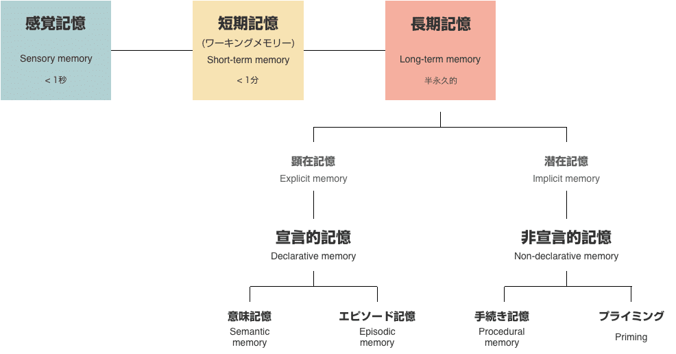 記憶の多重貯蔵モデル | UX TIMES