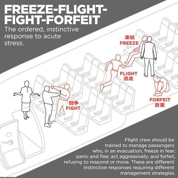 飛行機事故による乗客のストレス反応