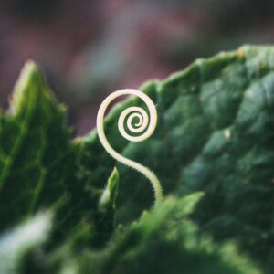 Vägledning, samtalspaket Resan hem