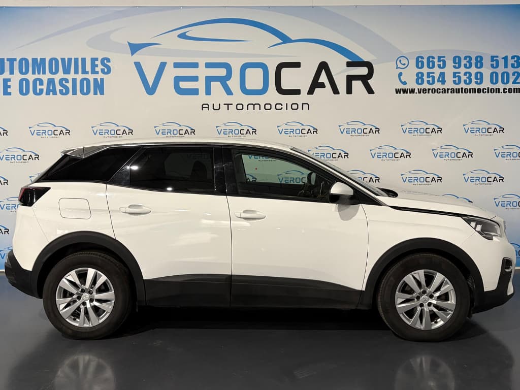 PLANTILLA COCHES WEB (19) (1) img-6