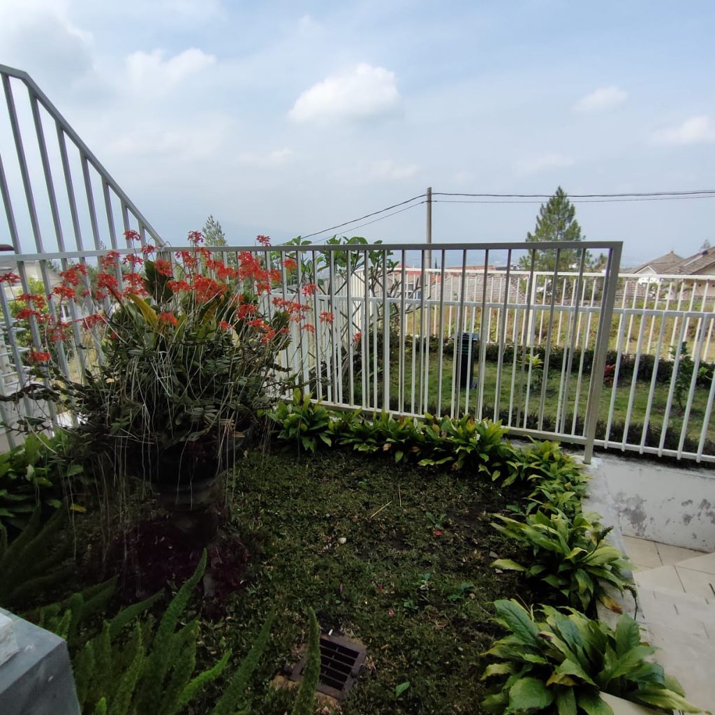 WhatsApp Image 2023-05-19 at 11.07.04