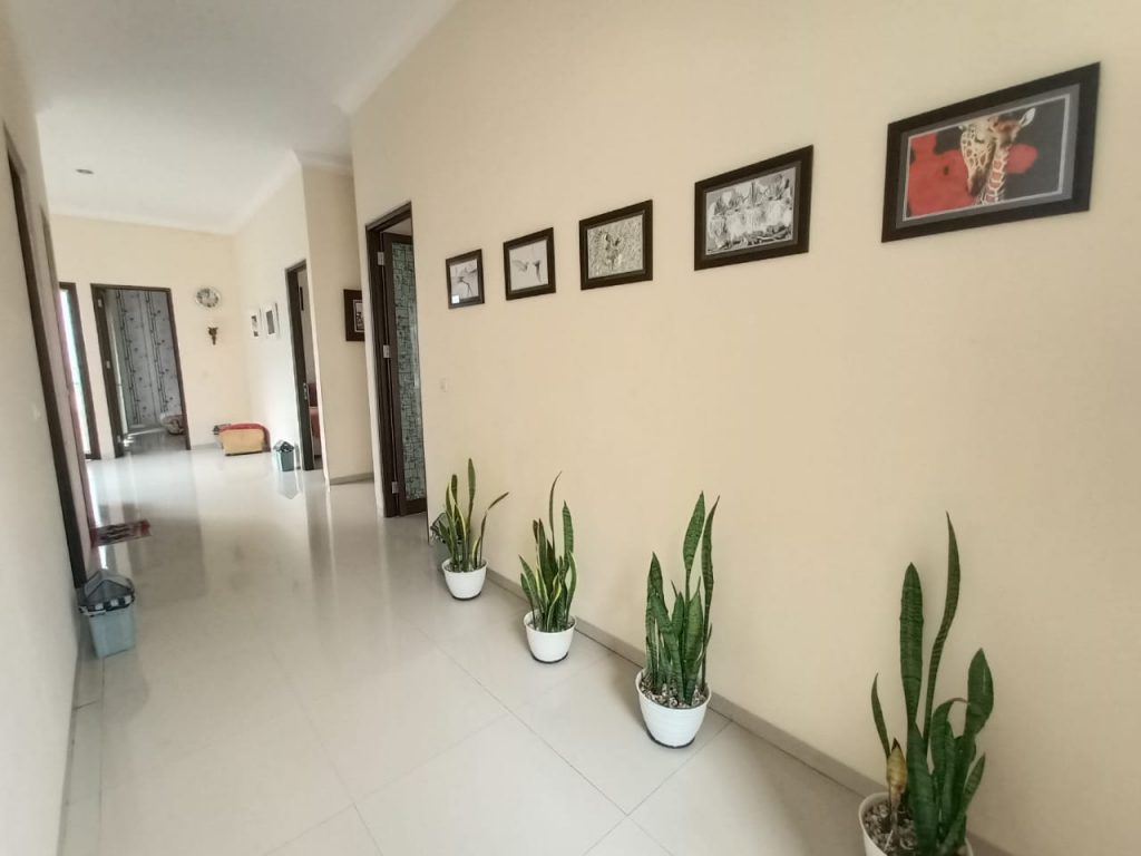 WhatsApp Image 2023-05-19 at 11.27.19