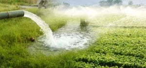 Water-needs-and-borewell-dependence