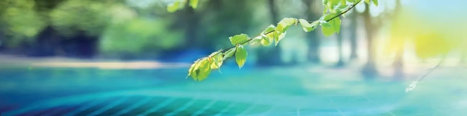 Environmental Consultancy Environmental Consultancy