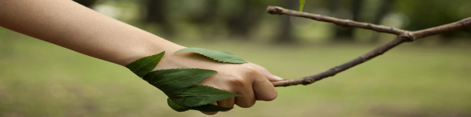 We can grow together We can grow together