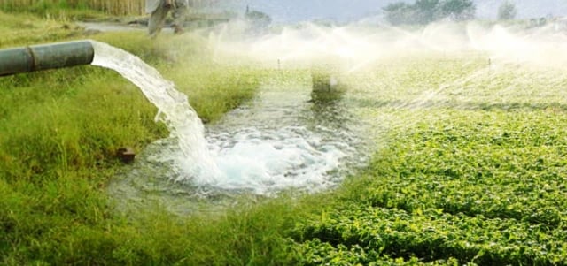 Water-needs-and-borewell-dependence