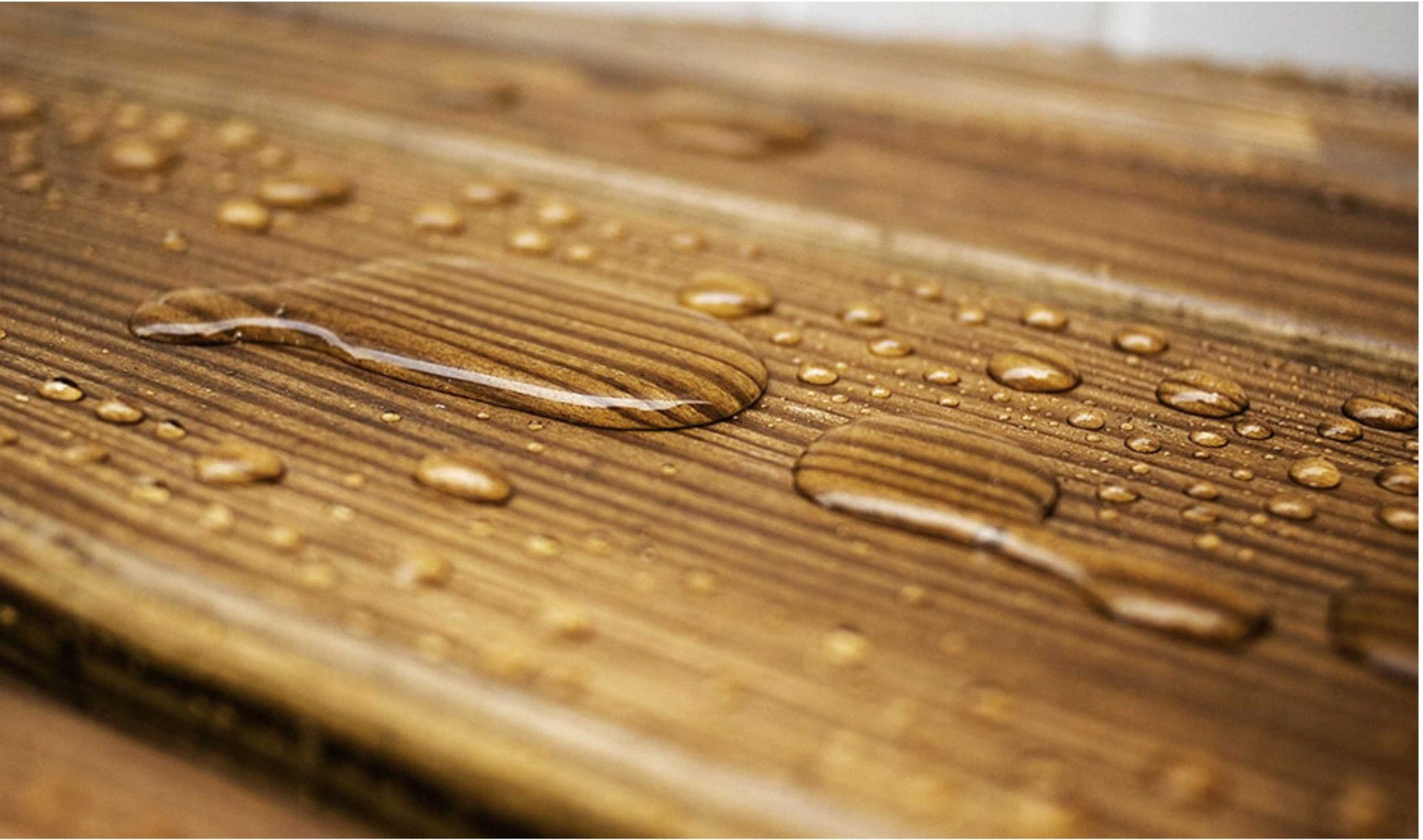 Безымянный-1 img-1