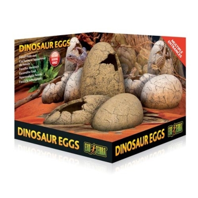 Exo terra cuevas Dinosaur eggs