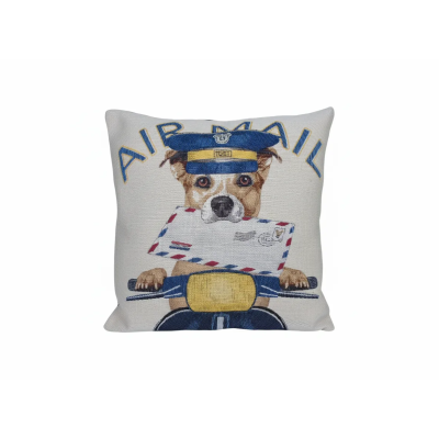 CHACON Cojin Confort Bordado Cartero 45x45 cm