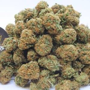 Caramel Candy mini bud cbd - Destock CBD