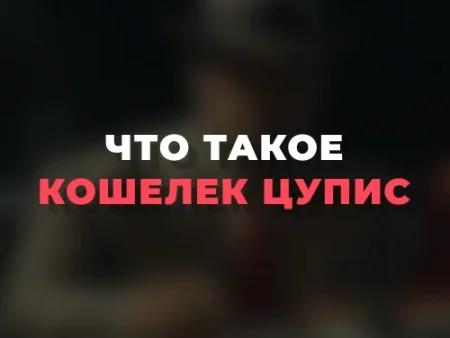 Что такое кошелек ЦУПИС и для чего он нужен?