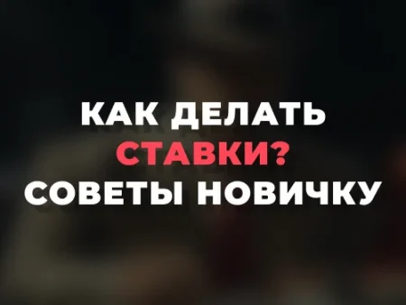 Как делать ставки? 7 советов новичку