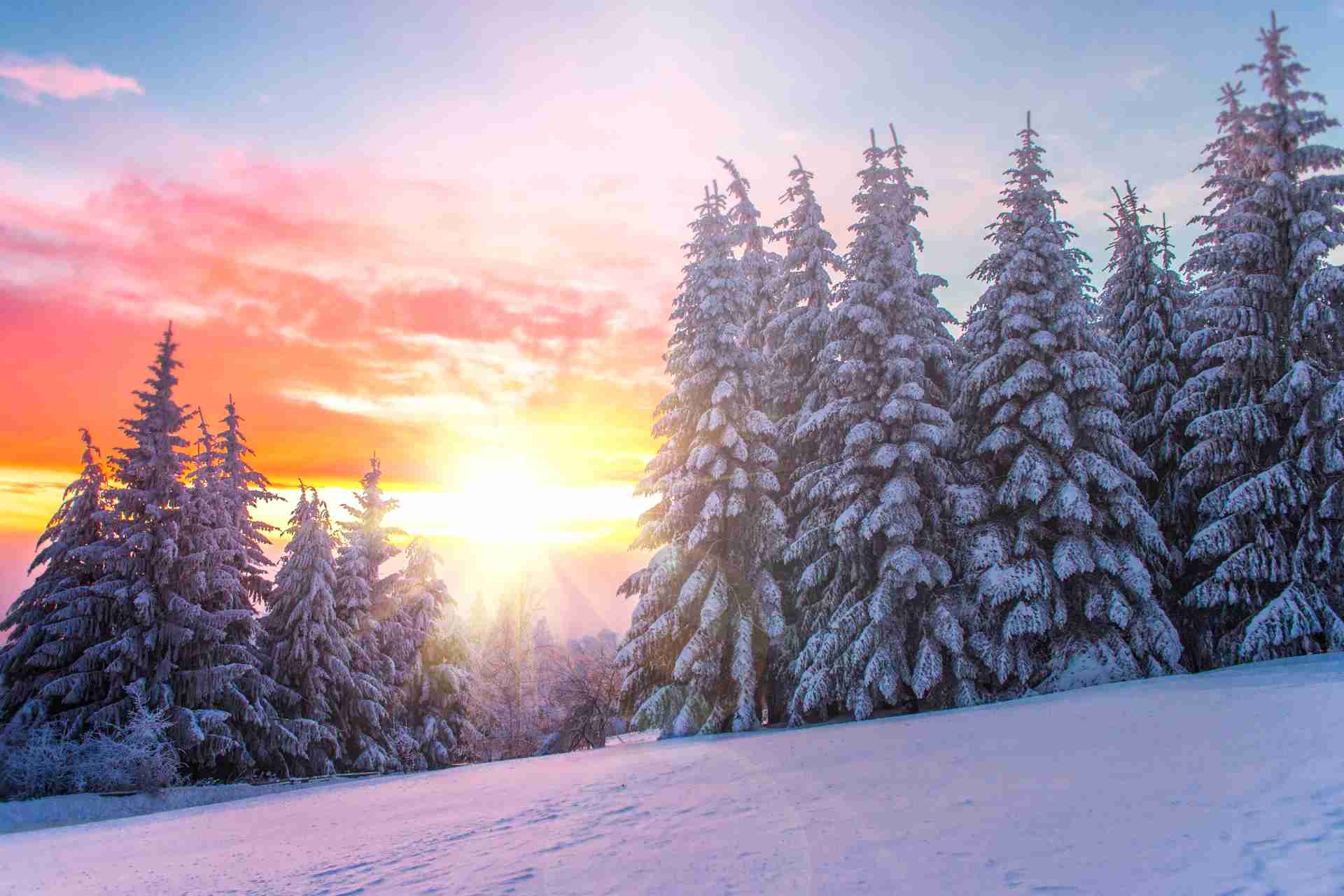 Bring Back the Light ~ Celebrating Yule
